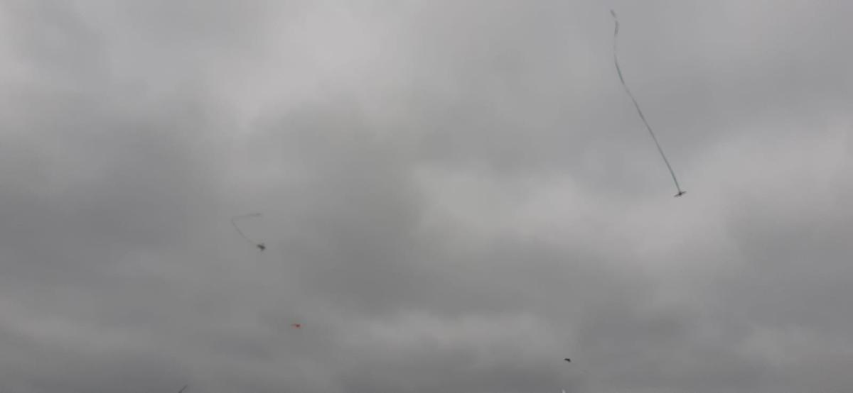 IMG-20240603-WA0023