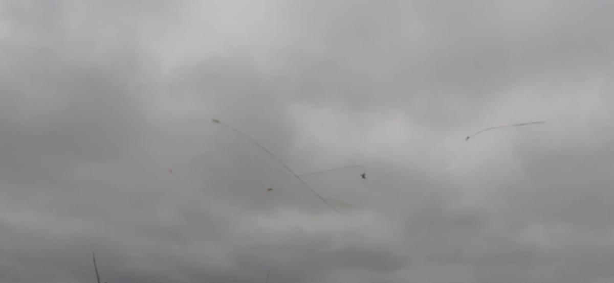 IMG-20240603-WA0024